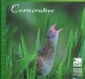 Corncrakes